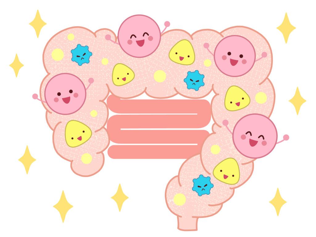 腸内細菌