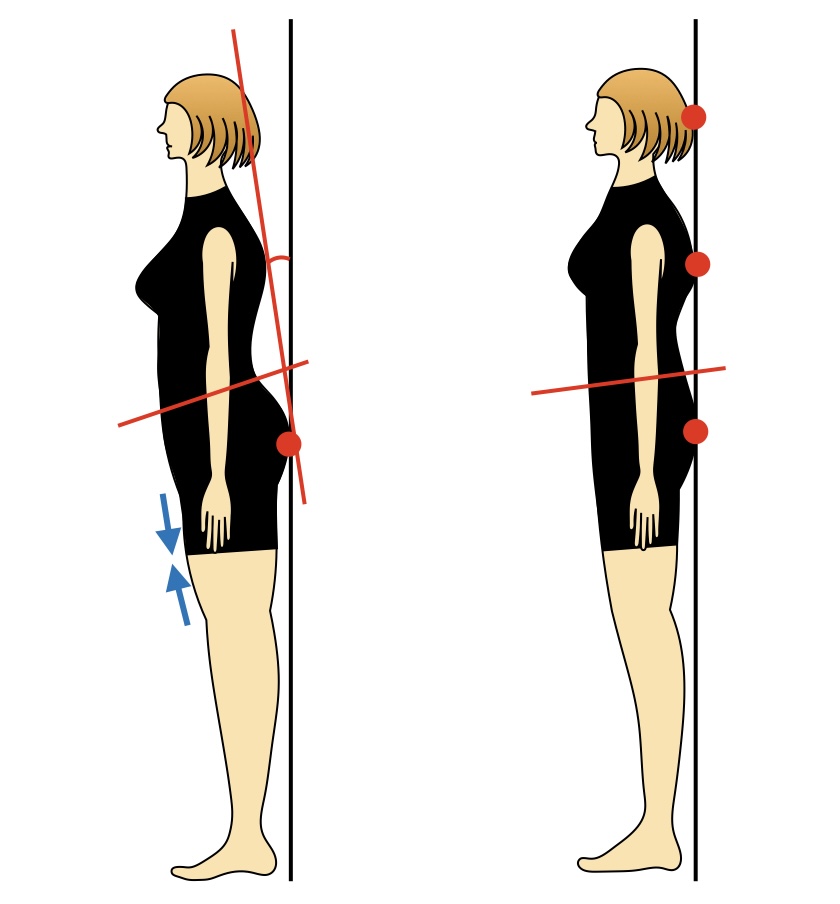 前傾姿勢の特徴