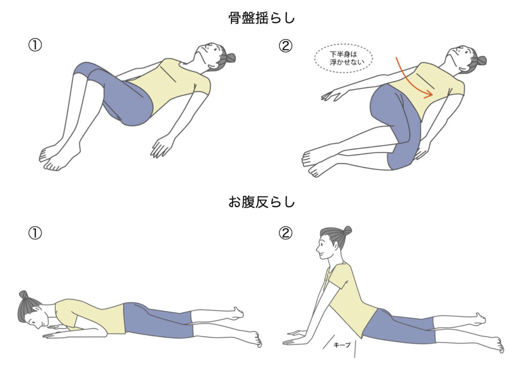 骨盤揺らしとお腹反らし